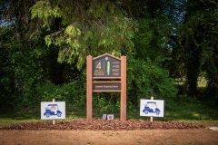 noreprofee-magazine-22-05-202500133