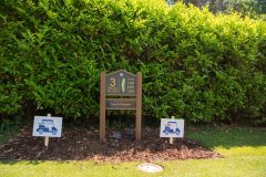 noreprofee-magazine-22-05-202500145