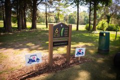 noreprofee-magazine-22-05-202500146