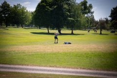 noreprofee-magazine-22-05-202500163