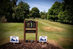 noreprofee-magazine-22-05-202500165