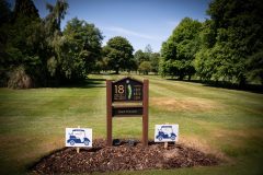 noreprofee-magazine-22-05-202500168