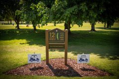 noreprofee-magazine-22-05-202500169