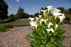 noreprofee-magazine-22-05-202500232