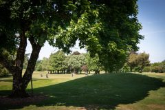 noreprofee-magazine-22-05-202500233