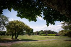 noreprofee-magazine-22-05-202500234