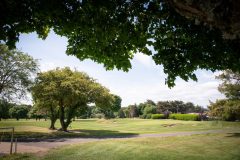 noreprofee-magazine-22-05-202500235