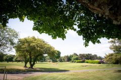 noreprofee-magazine-22-05-202500237