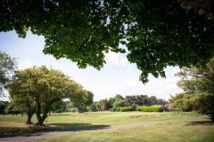 noreprofee-magazine-22-05-202500238