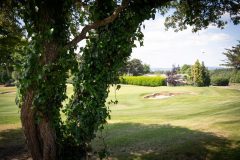 noreprofee-magazine-22-05-202500239