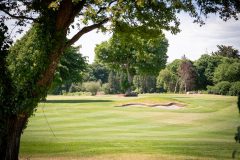 noreprofee-magazine-22-05-202500241