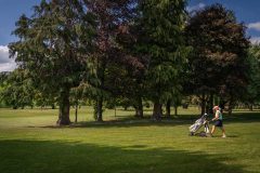 noreprofee-magazine-22-05-202500266