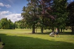 noreprofee-magazine-22-05-202500267