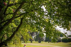 noreprofee-magazine-22-05-202500270