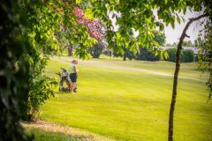 noreprofee-magazine-22-05-202500271