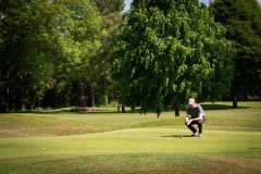 noreprofee-magazine-22-05-202500278