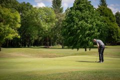 noreprofee-magazine-22-05-202500279