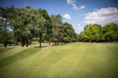 noreprofee-magazine-22-05-202500283