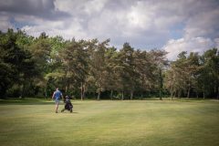 noreprofee-magazine-22-05-202500290