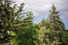 noreprofee-magazine-22-05-202500294