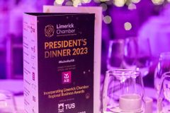 Limerick Chamber President's Dinner and Regional Business Awards 2023-11-17 in The STRAND Hotel/ Photo Olena Oleksienko