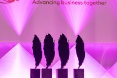 Limerick Chamber President's Dinner and Regional Business Awards 2023-11-17 in The STRAND Hotel/ Photo Olena Oleksienko