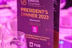 Limerick Chamber President's Dinner and Regional Business Awards 2023-11-17 in The STRAND Hotel/ Photo Olena Oleksienko