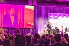 Limerick Chamber President's Dinner and Regional Business Awards 2023-11-17 in The STRAND Hotel/ Photo Olena Oleksienko