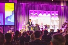 Limerick Chamber President's Dinner and Regional Business Awards 2023-11-17 in The STRAND Hotel/ Photo Olena Oleksienko