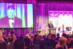 Limerick Chamber President's Dinner and Regional Business Awards 2023-11-17 in The STRAND Hotel/ Photo Olena Oleksienko