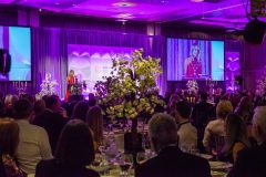 Limerick Chamber President's Dinner and Regional Business Awards 2023-11-17 in The STRAND Hotel/ Photo Olena Oleksienko