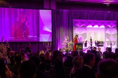 Limerick Chamber President's Dinner and Regional Business Awards 2023-11-17 in The STRAND Hotel/ Photo Olena Oleksienko