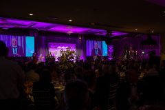 Limerick Chamber President's Dinner and Regional Business Awards 2023-11-17 in The STRAND Hotel/ Photo Olena Oleksienko