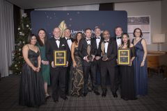 From left to Right: Priya Mishra, Elaine Joyce, Paul Hackett, Tom Creadon,  Aoife Fitzgerald, Paul Kiely, Tomás McElligott, Rajesh Biddala, John Shaw, Shabdlita Sakarde, Helene Dingreville all from Carelon / Overall Award Winner.