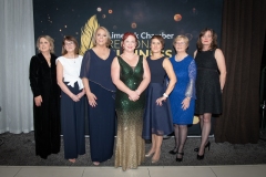 from left to right: Karen Yelverta, Karen Griggs, Lavinia Ryan Duggan, Mary Visser, Rear Brain, Marie Maher, Fionnula Taylor al from VHI