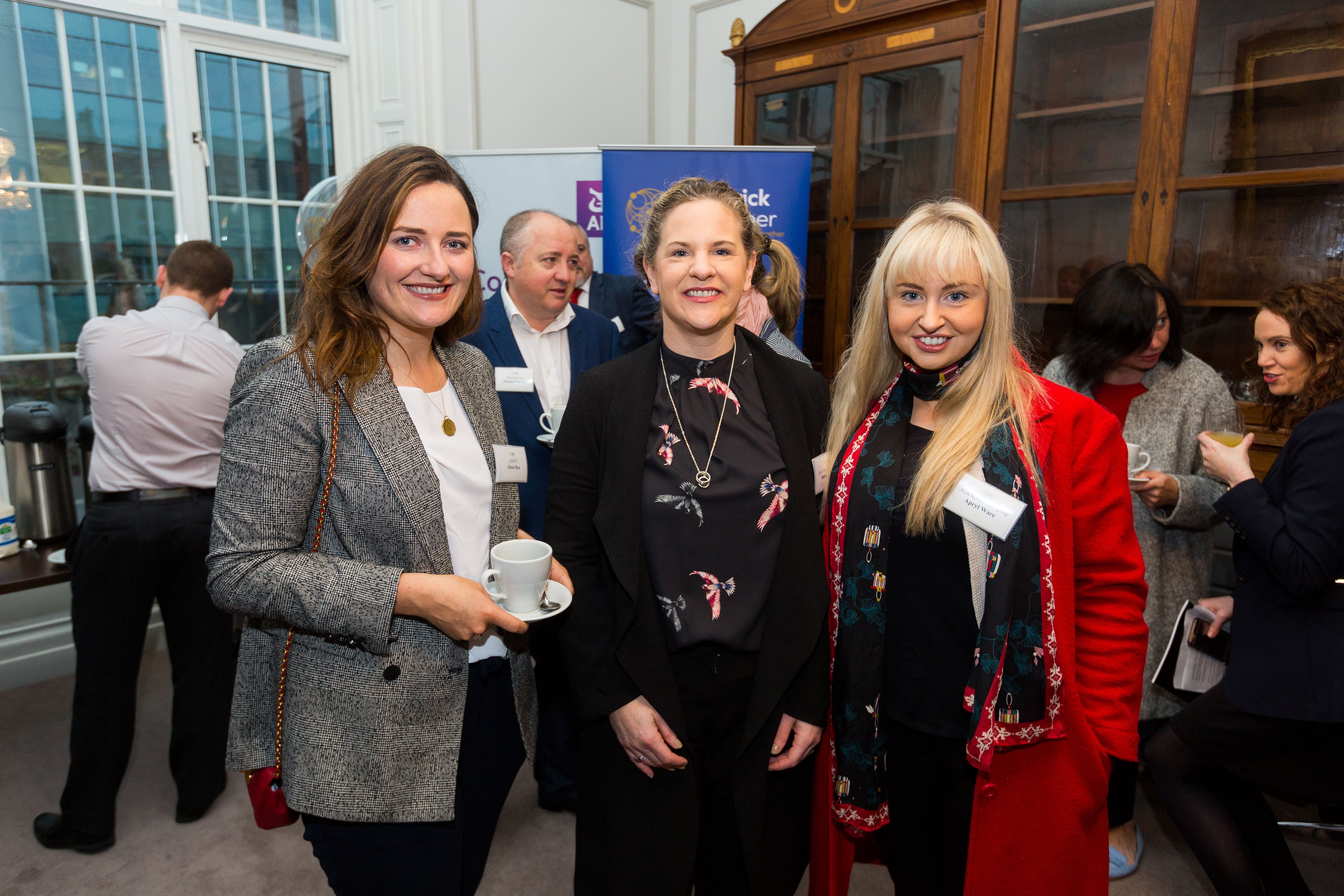 Limerick Chamber New Member Breakfast 0013