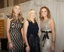 Attending the Limerick Chamber President\'s Dinner 2014 at the Limerick Strand Hotel - Picture Liam Burke/Press 22