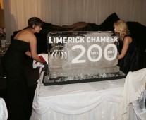 Attending the Limerick Chamber President\'s Dinner & Regional Business Awards 2014 at the Limerick Strand Hotel - Picture Liam Burke/Press 22