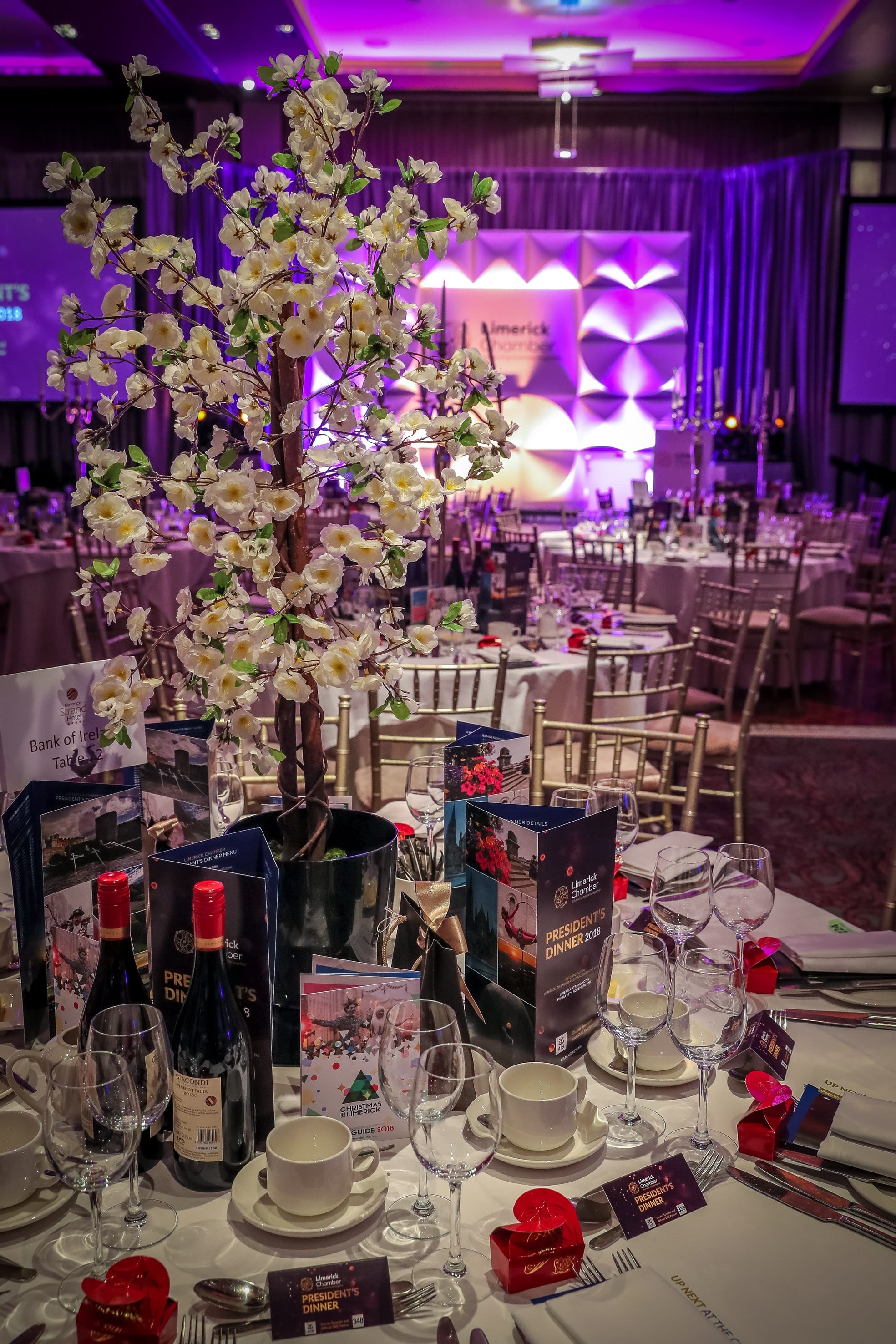 16-11-18 Limerick Chamber Presidents Awards in the Strand Hotel. Picture: Keith Wiseman