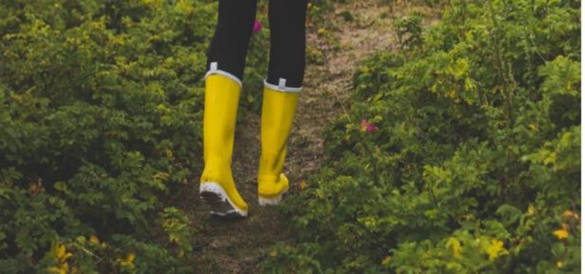 Limerick Chamber and AIB sows the seeds for Farm Diversification