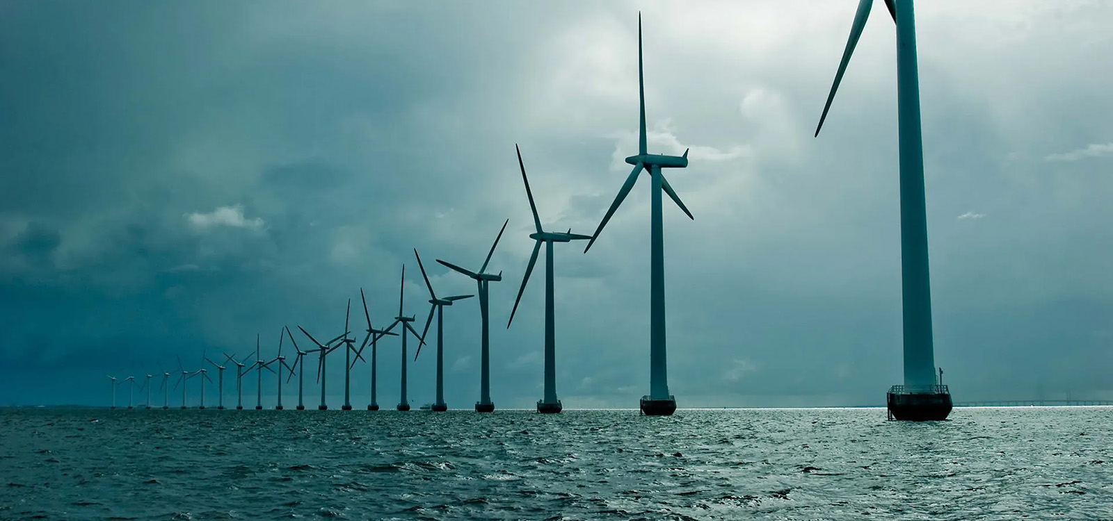 Limerick Chamber Advancing Business Together