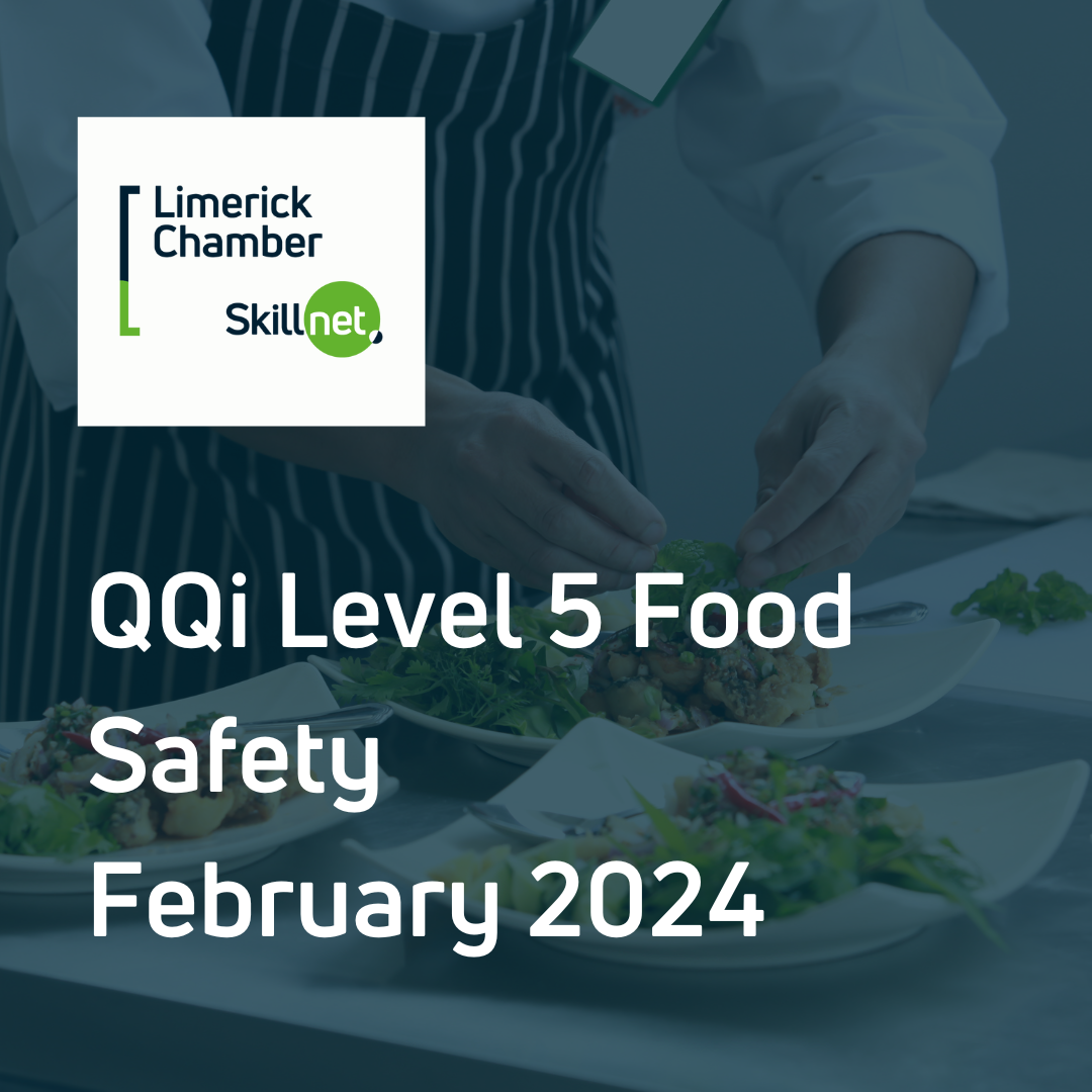 Excel in Limerick ChamberBeginners12th Nov 2024 Limerick Chamber