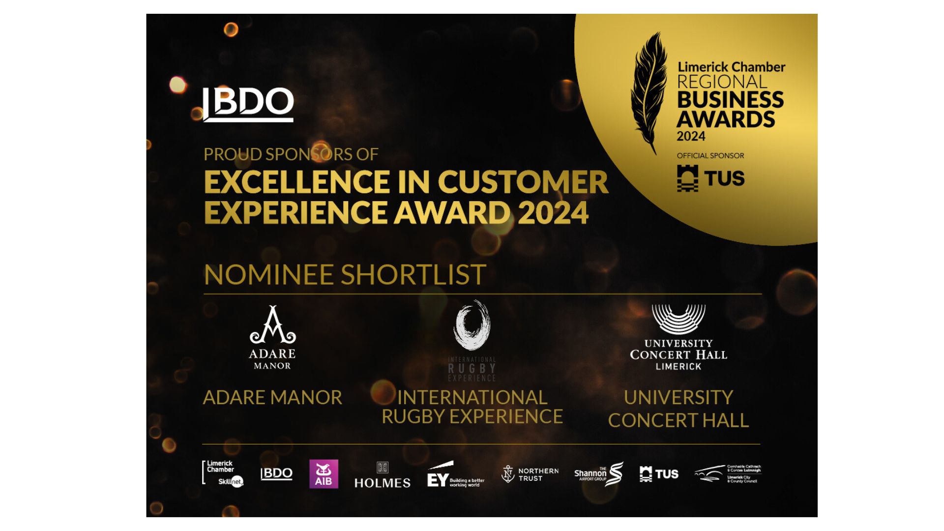 BDO Sponsors of the Excellence in Customer Experience Award 2024 Limerick Chamber Regional Business Awards 2024