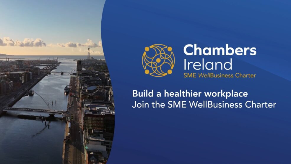SME WellBusiness Charter Ireland